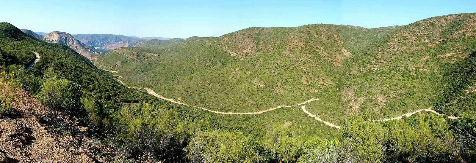 patensie enon conglomerate queen victoria scholtzberg mountain willowmore cedar