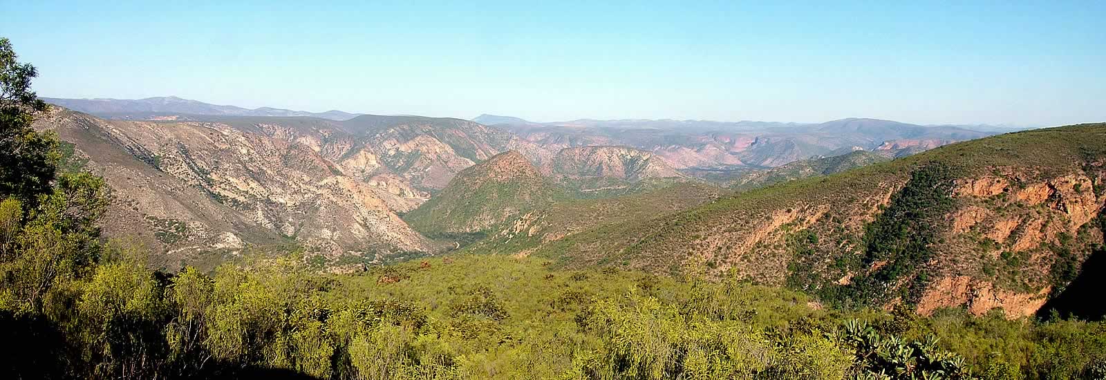 patensie enon conglomerate queen victoria scholtzberg mountain willowmore cedar