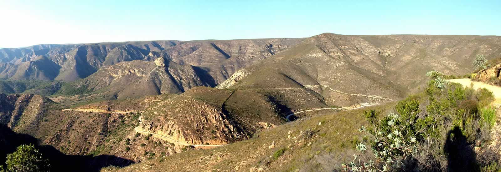 patensie enon conglomerate queen victoria scholtzberg mountain willowmore cedar