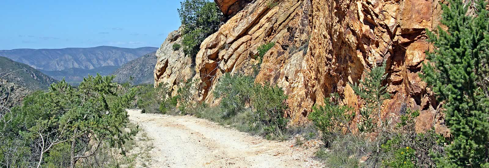 wilderness area kouga hankey sarah baartman patensie enon conglomerate queen victoria scholtzberg mountain willowmore cedar